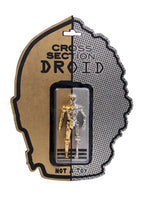 Cross Section Droid by RYCA